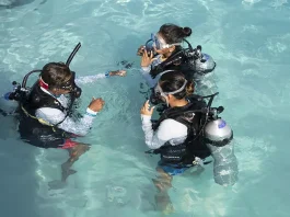Nova Maldives and PADI Turn a September Escape Into Ocean Action