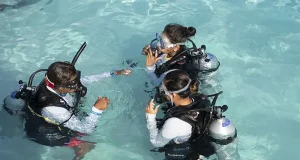 Nova Maldives and PADI Turn a September Escape Into Ocean Action