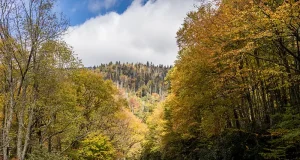 Fall or Spring? The Best Destinations to Visit this September Equinox