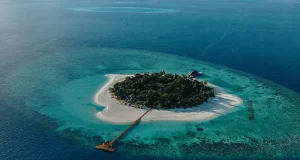 Banyan Tree Vabbinfaru Marks Anniversary Month With Coral Restoration and Island Experiences