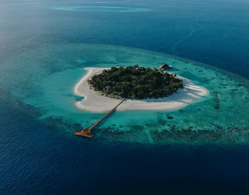 Banyan Tree Vabbinfaru Marks Anniversary Month With Coral Restoration and Island Experiences