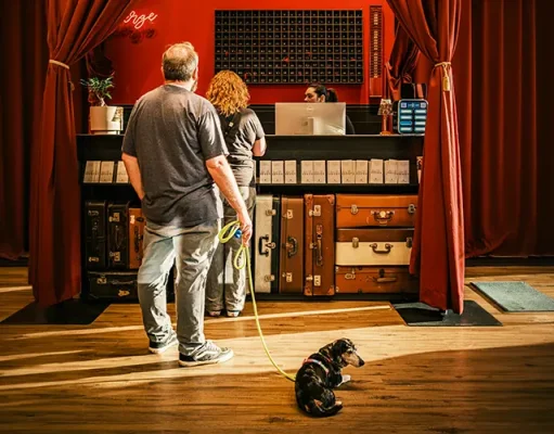 Staycation Guide: Top Dog-Friendly Boutique Stays and Scenic Walks