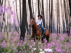 Five Learning Vacations That Turn Family Travel Into an Adventure Horseback rider traveling through pink wildflowers in a recovering forest landscape after a wildfire