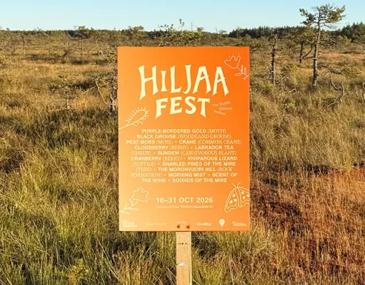 Finland’s “Quietchella” Lets Nature Take Center Stage