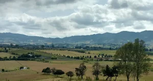 How Capturing Timeless Landscapes Enhances Your Texas Hill Country Getaway