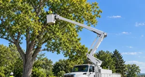 Picking a Truck With Boom Lift for Tree Work Near Power Lines