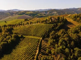 Relais Roncolo 1888 Plans a New Chapter in Italy’s Food and Motor Valley