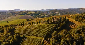 Relais Roncolo 1888 Plans a New Chapter in Italy’s Food and Motor Valley
