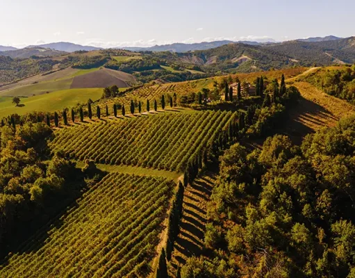 Relais Roncolo 1888 Plans a New Chapter in Italy’s Food and Motor Valley