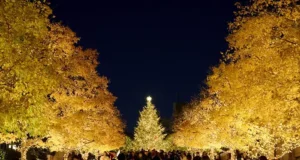 Palace Hotel Tokyo Celebrates the Festive Season with ‘A Tokyo Christmas’