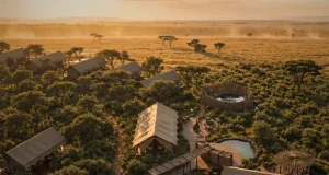 Mereshi Safari Camp Plans November Opening in Tanzania’s Serengeti