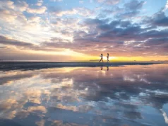 Discover Japan’s Setouchi Region: Five Unforgettable Experiences That Connect Travelers with Nature