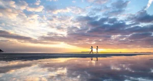 Discover Japan’s Setouchi Region: Five Unforgettable Experiences That Connect Travelers with Nature