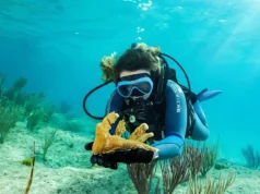MSC Foundation Backs Global Coral Reef Assessment as Ocean Cay Research Advances