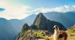 AmaWaterways Adds Machu Picchu to Its Colombia Cruise Journeys in 2027