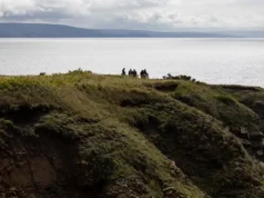 LaPointe Opens in Cape Breton, Bringing Coastal Luxury and Acadian Heritage to Chéticamp