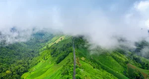 Coorg in Monsoon Season: Travel Tips for a Memorable Stay