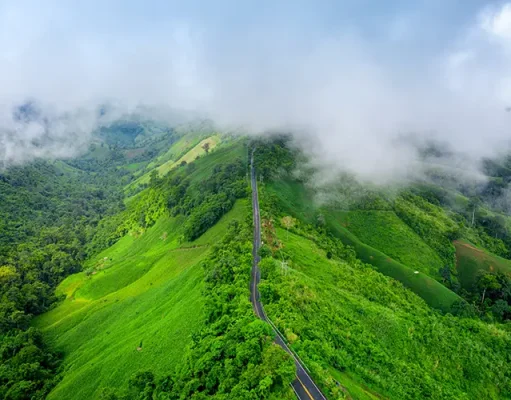 Coorg in Monsoon Season: Travel Tips for a Memorable Stay