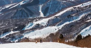 Where to Stay in Hakuba: A Ski Trip Accommodation Guide