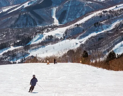Where to Stay in Hakuba: A Ski Trip Accommodation Guide