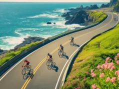 5 Scenic Cycling Adventures in Australia Worth Adding to Your Travel Bucket List