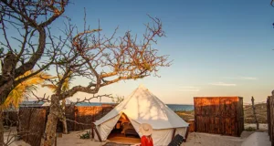 A Coastal Escape for Glamping and Outdoor Adventure in La Paz, Mexico