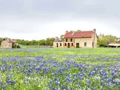 How to Read a Texas Vacation Rental Listing A field of bluebonnets in front of an old stone farmhouse with a rusted tin roof