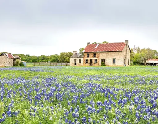 How to Read a Texas Vacation Rental Listing A field of bluebonnets in front of an old stone farmhouse with a rusted tin roof