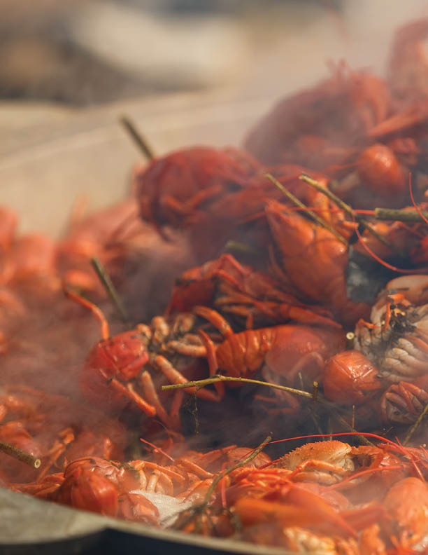 boiled crayfish with seasoning, Large pot
