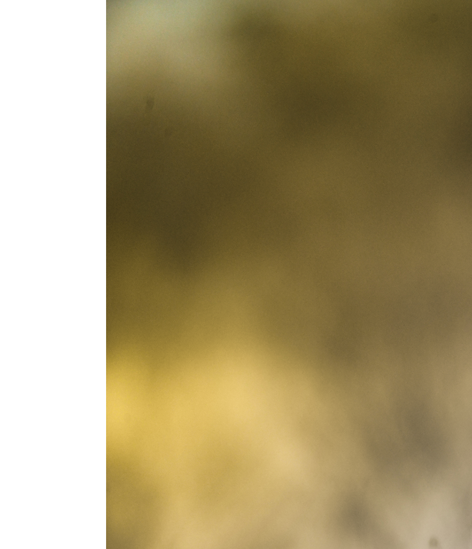 A cheetah stands in a field with its head up. Description generated by AI