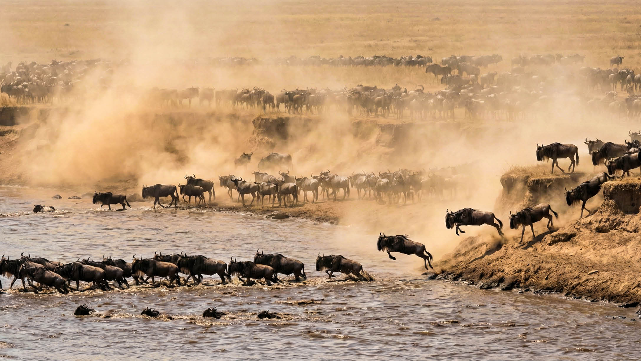 A herd of animals, including horses and cows, are crossing a river. Description generated by AI