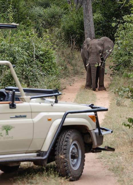 A safari tour vehicle with people in it. Description generated by AI