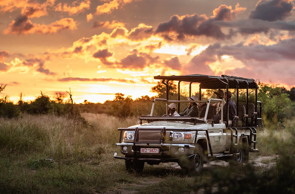 A group of people are riding in a safari truck. Description generated by AI