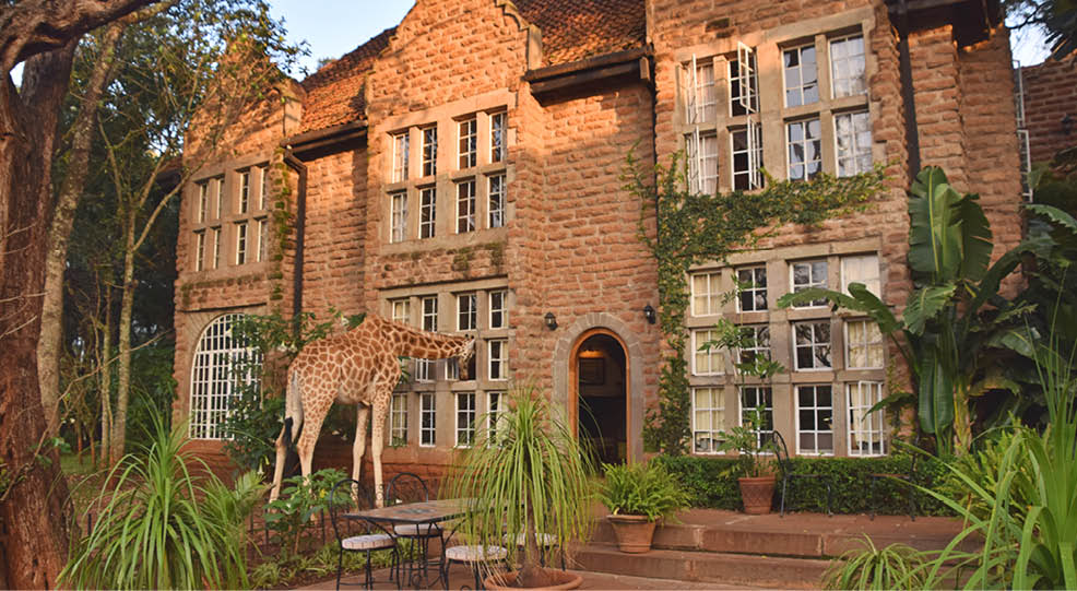 A giraffe is standing in front of a large brick building. Description generated by AI