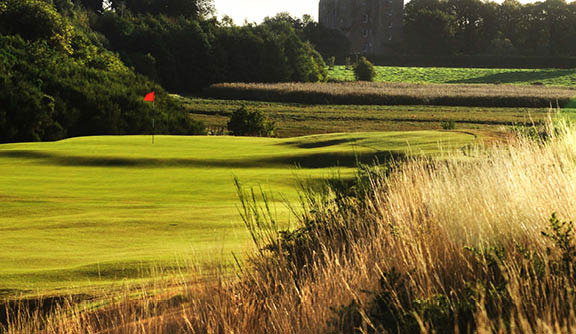 A green golf course with a castle in the background. Description generated by AI
