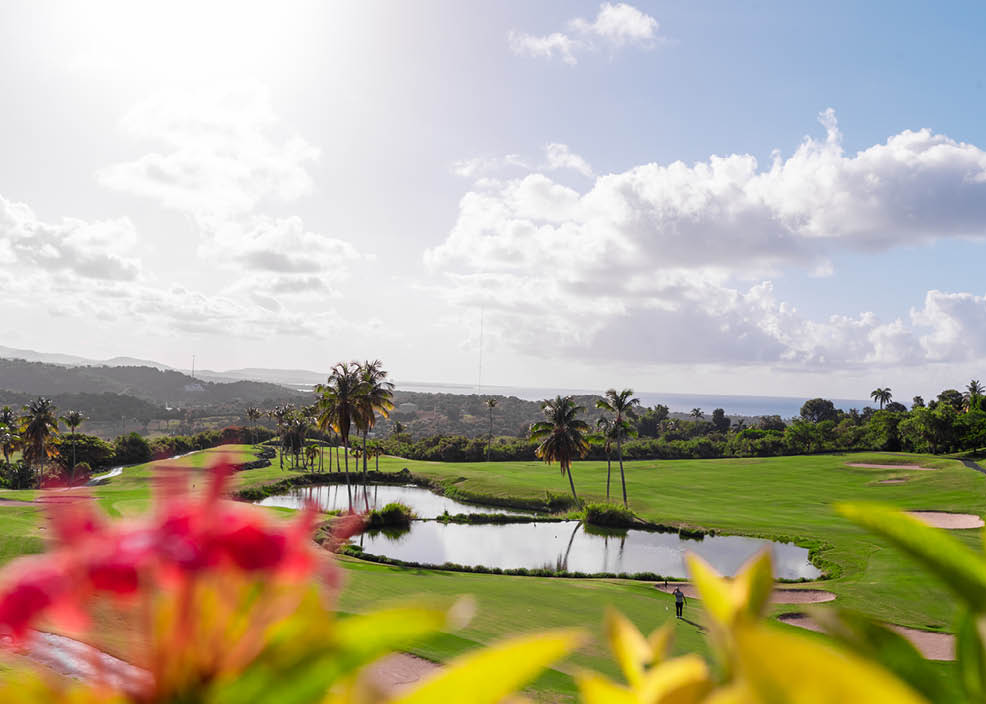 Hotel, El Conquistador, Resort, Golf, Fajardo, Field