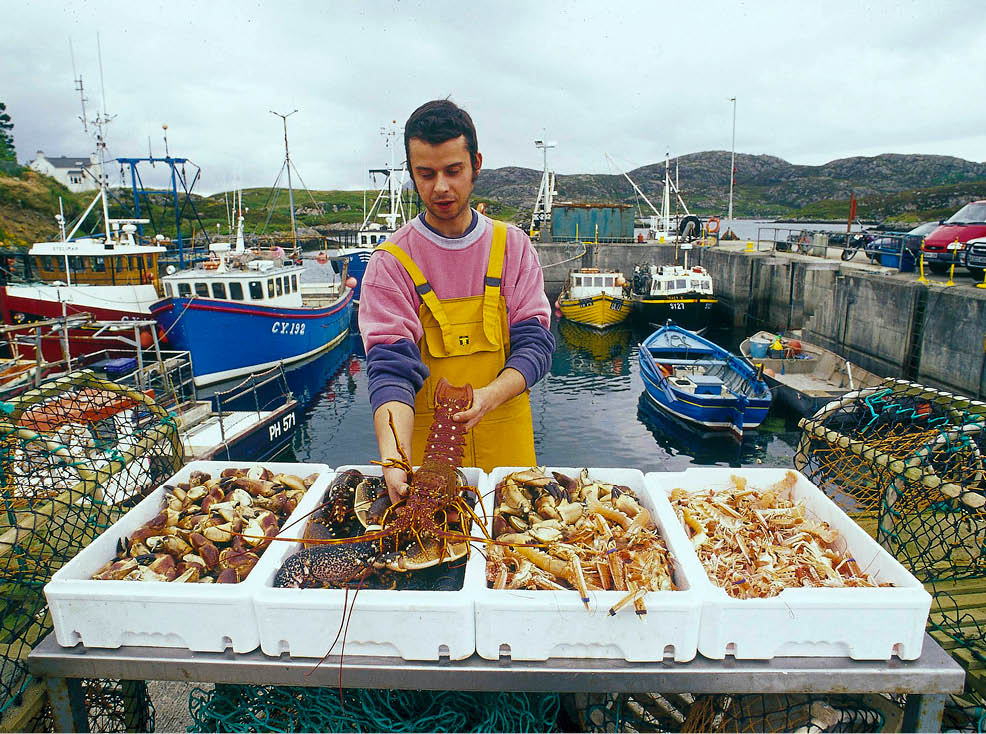 A FISHERMAN SORTS HIS CATCH AT KALLIN HARBOUR, GRIMSAY- AN ISLAND BETWEEN BENBECULA AND NORTH UIST, OUTER HEBRIDES. PIC: P.TOMKINS/VisitScotland/SCOTTISH VIEWPOINT  Tel: +44 (0) 131 622 7174    Fax: +44 (0) 131 622 7175  E-Mail : info@scottishviewpoint.com  This photograph can not be used without prior permission from Scottish Viewpoint.