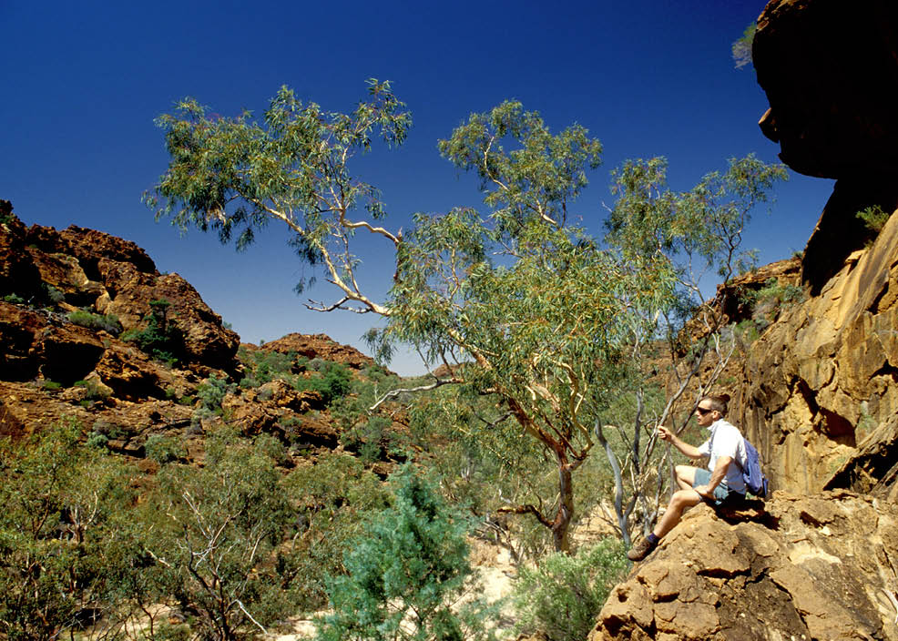 A person is sitting on a rock, looking at a tree. AI generated content