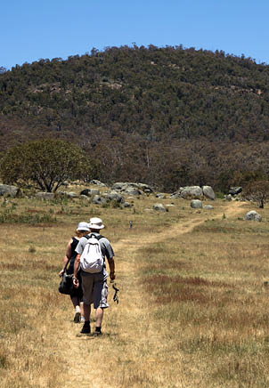 Two people walking on a dirt path in a field. AI generated content