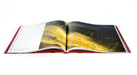 A book is open to a page with a painting of a nude figure on it. AI generated content