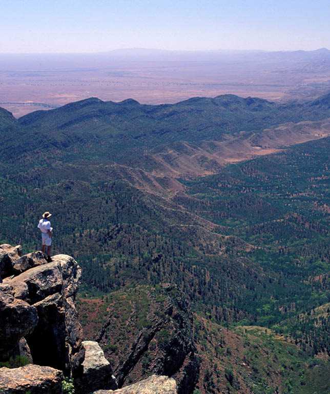 A person is standing on a rocky outcrop overlooking a vast, lush green valley. AI generated content