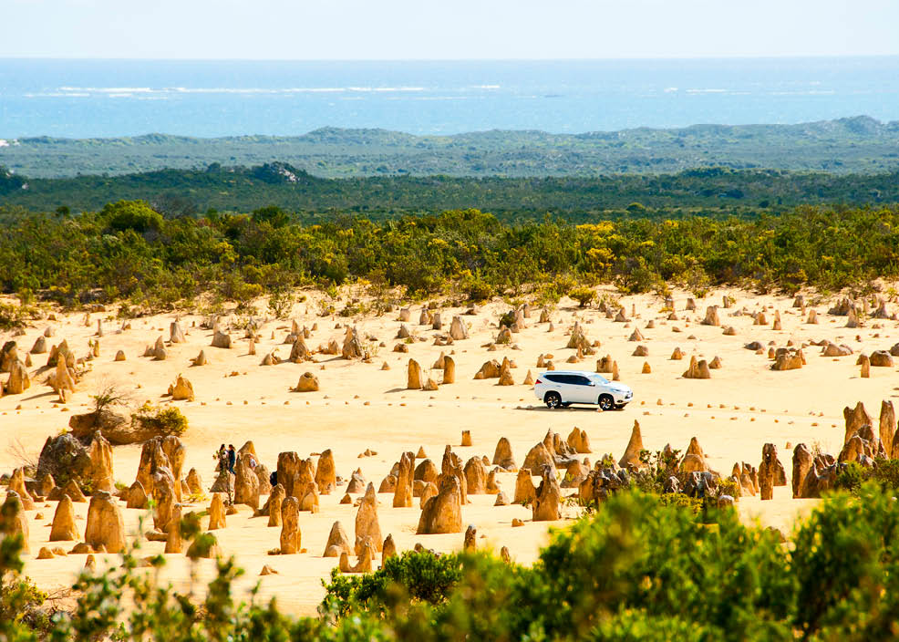 A car is driving through a field of small rocks, with a forest in the background. AI generated content