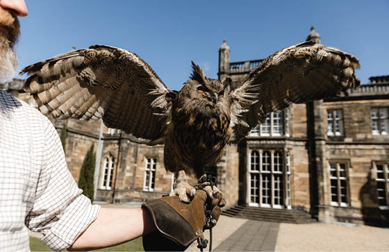 [Alt text was not generated.]