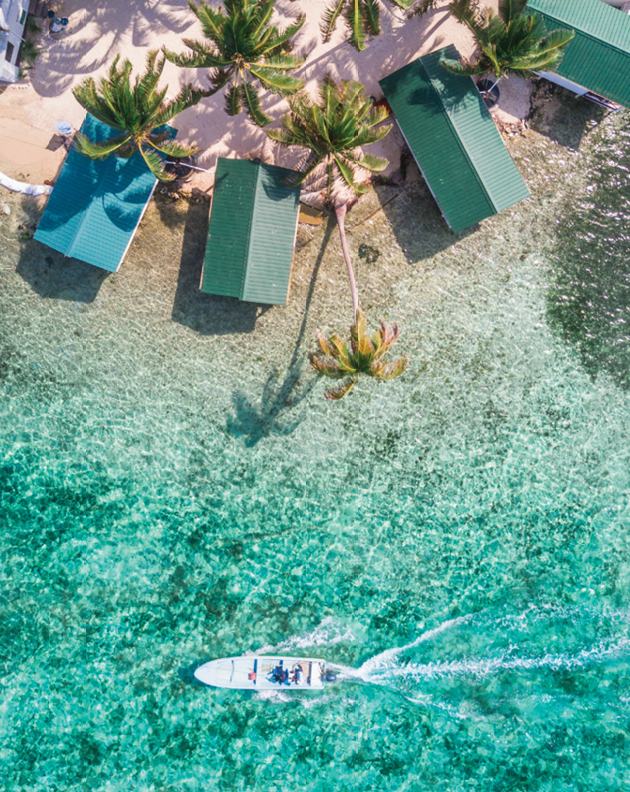 Aerial drone view of Tobacco Caye small Caribbean island with palm trees and bungalows in the Belize Barrier Reef
