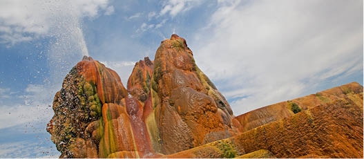 Photographer: Sydney Martinez