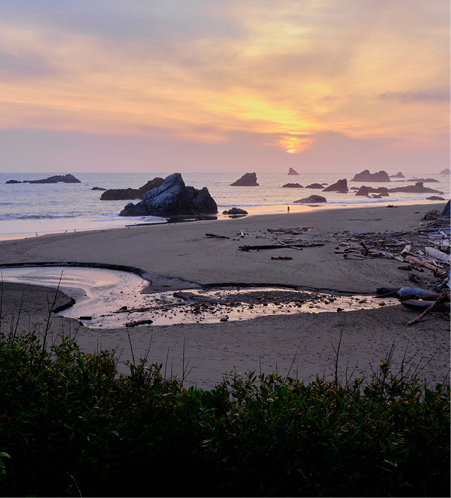 Sea stacks, rocky outcrops and creek flowing into sea, form a beautiful backdrop for sunset over the Pacific Ocean   Harris Beach State Recreation Area, Oregon