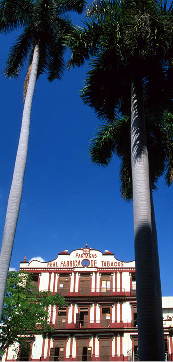 A visit to the Partagas cigar factory is a pilgrimage for many visitors to Havana  