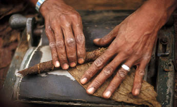 Cigar roller at work