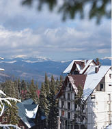 Winter mountains near cottages between snow-covered fir-trees in the forest