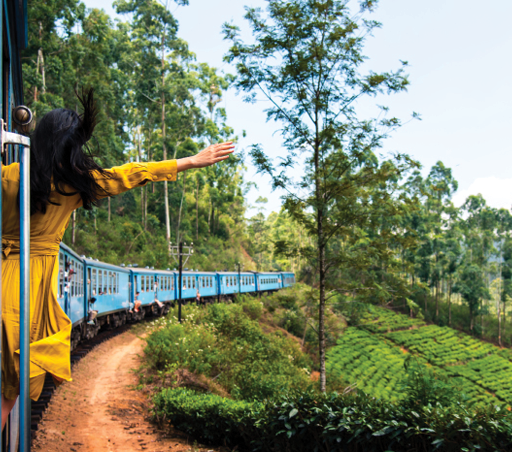 Woman enjoying the train ride through Sri Lanka tea plantations